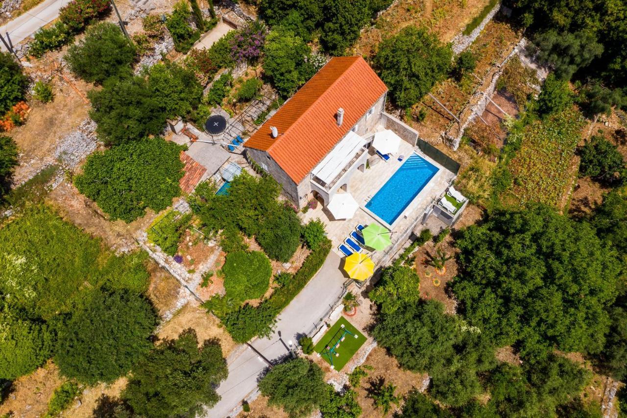 House Kocan