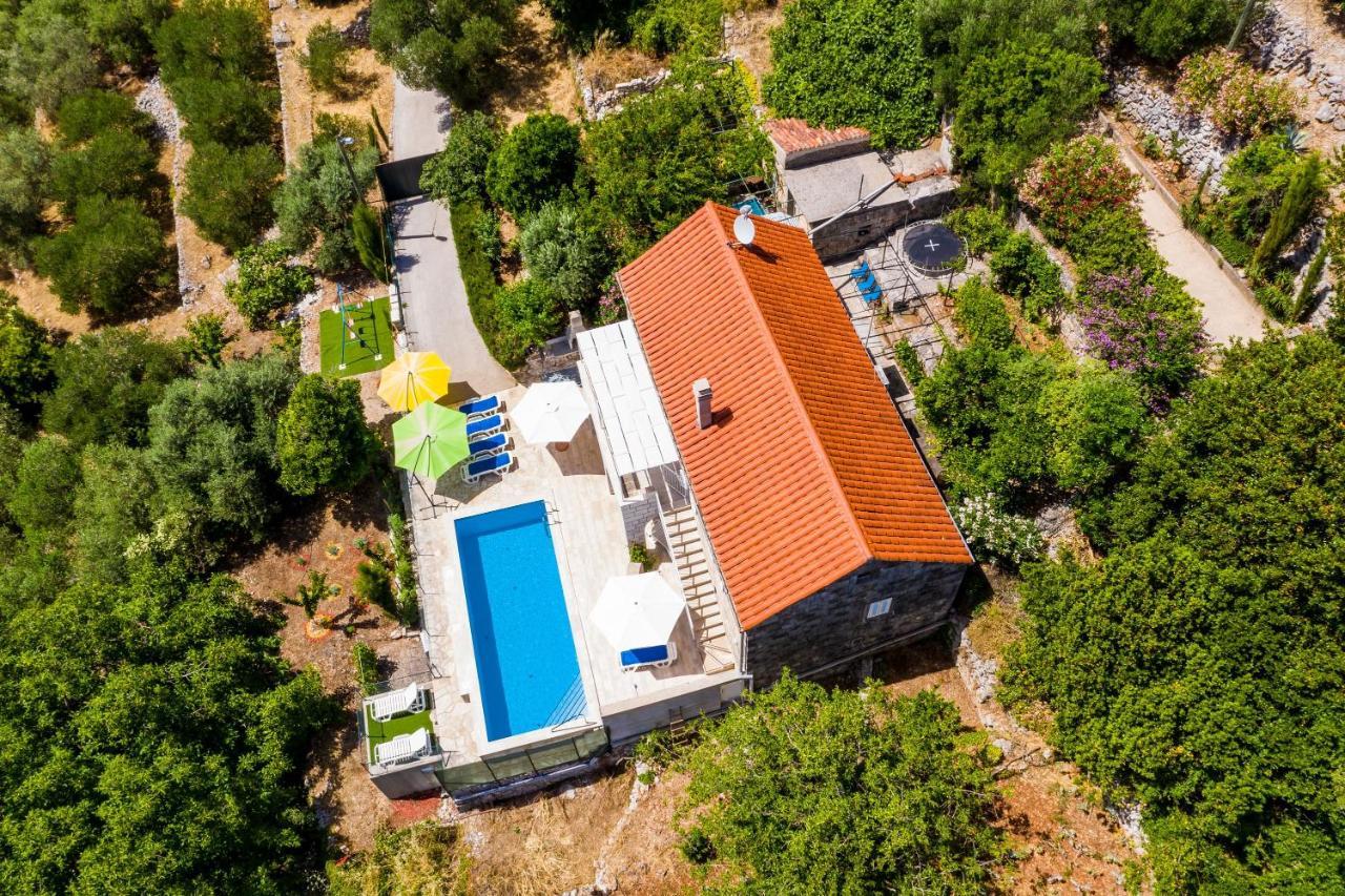 House Kocan Gruda
