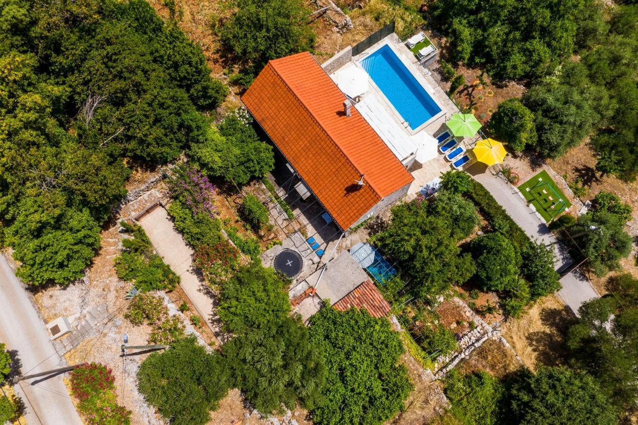 House Kocan